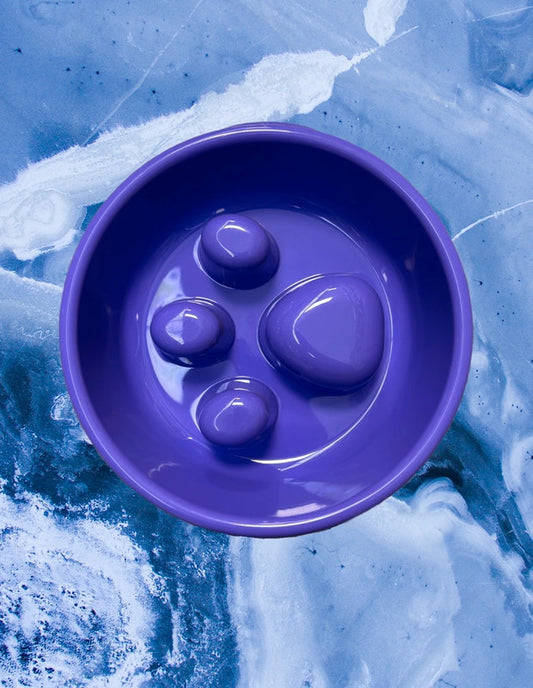 Protihltací miska s pacičkou