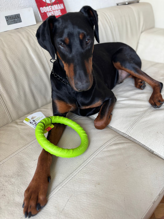 Plovoucí tréninkový kruh