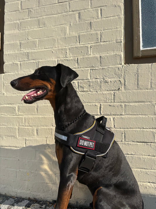 Informační nášivka na postroj DO NOT PET