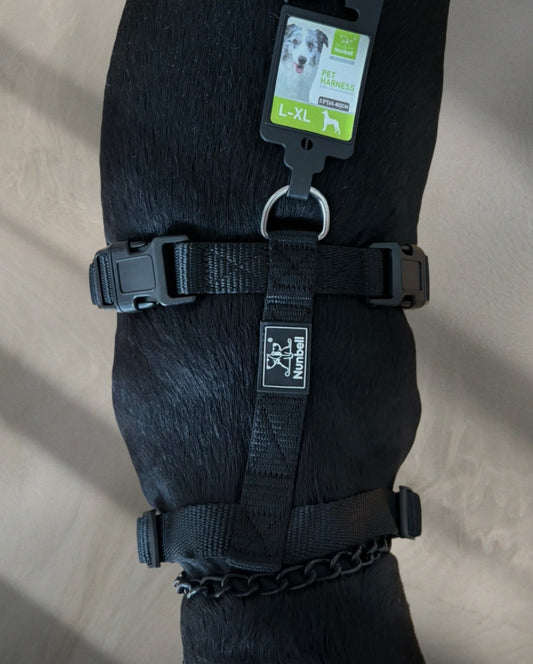 Klasický H postroj M-L