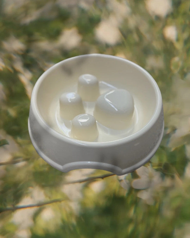 Protihltací miska s pacičkou