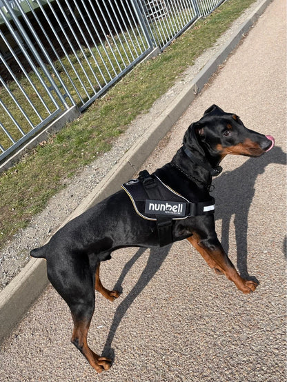 Nasza kamizelka z uchwytem XXL