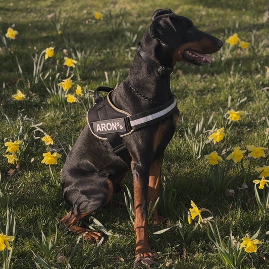 JMENOVKA na postroj 2 kusy