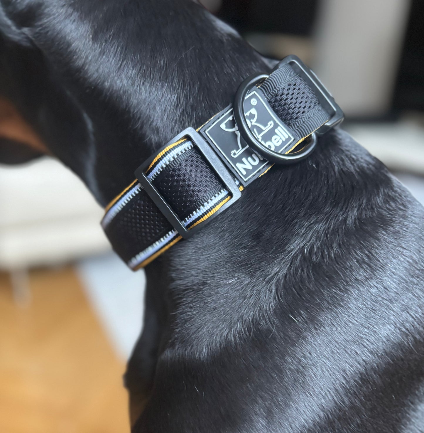 Obojek do sady k postroji nebo vodítku