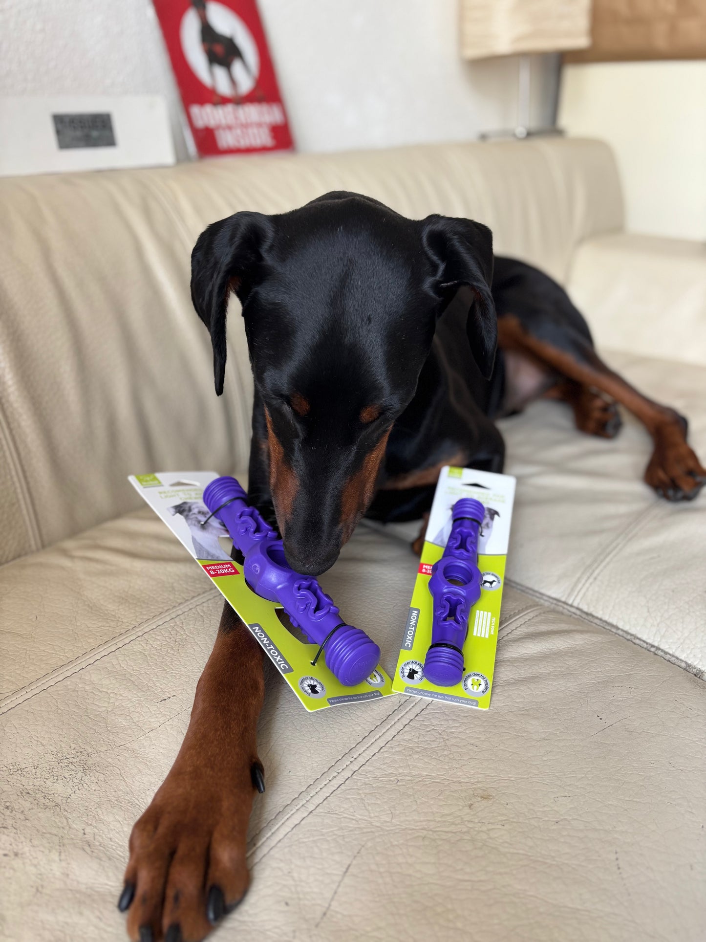 Žvýkací puzzle hračka na čištění zoubků a zabavení