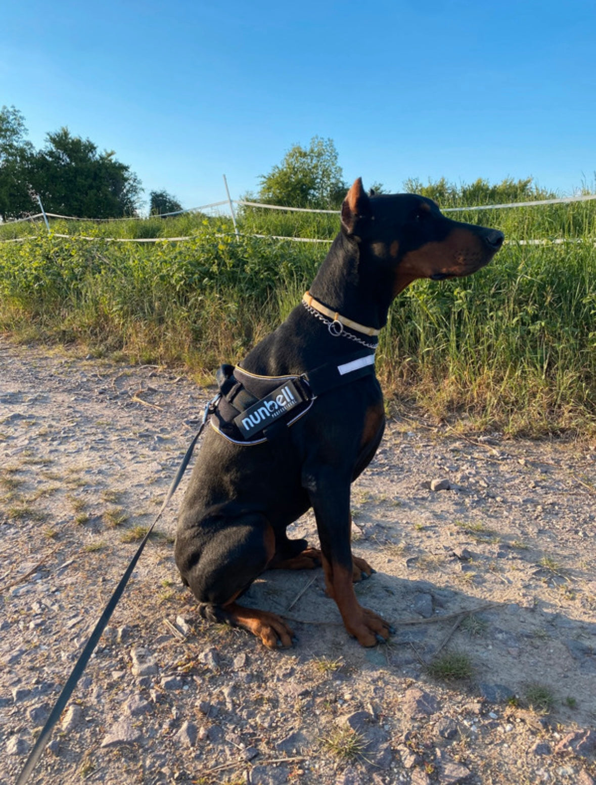 Nasza kamizelka z uchwytem XXL