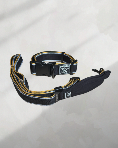 Obojek do sady k postroji nebo vodítku