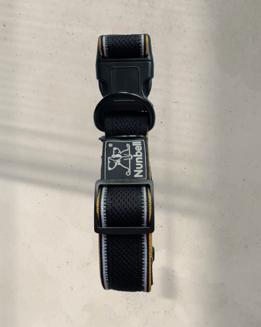 Obojek do sady k postroji nebo vodítku