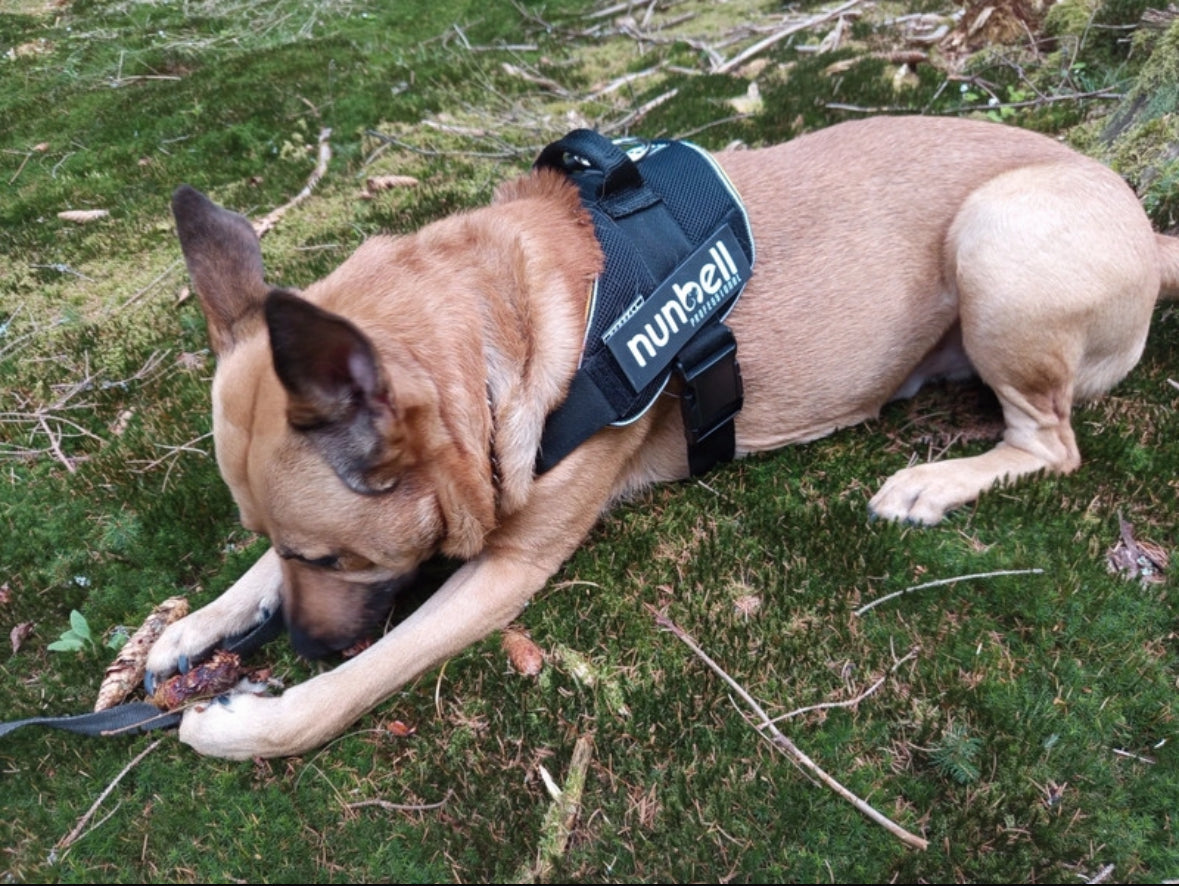 Nasza kamizelka z uchwytem XXL