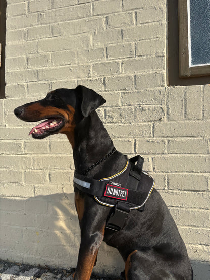 Informační nášivka na postroj DO NOT PET