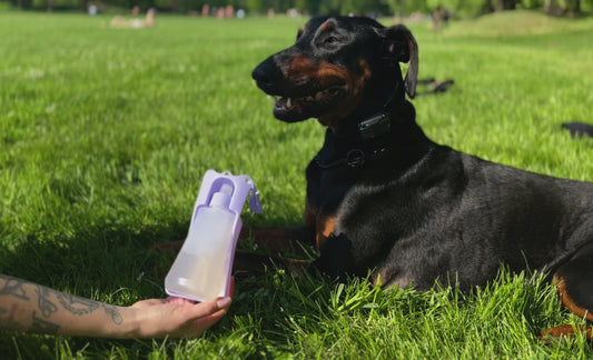 Barevná kompaktní lahvička s miskou 500ml